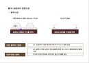 SGP공법 11페이지