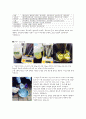 [창업현장실습-향장화학실험] CP비누 만들기 4페이지