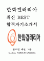 한화갤러리아 인턴 최신 BEST 합격 자기 소개서 1페이지