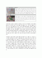 현장에서 이루어지는 영유아 과학프로그램 조사, 분석(시사점,구성주의,교사의 역할) 2페이지