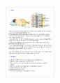 [신경외과 케이스 스터디] 척추관협착증(spinal stenosis)  2페이지