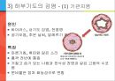 [아동간호학] 유아의 발달단계와 주요 질병 36페이지
