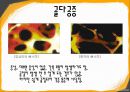 골다공증(osteoporosis)에 관하여(운동 및 식이지침).pptx 4페이지