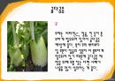 골다공증(osteoporosis)에 관하여(운동 및 식이지침).pptx 10페이지
