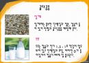 골다공증(osteoporosis)에 관하여(운동 및 식이지침).pptx 13페이지