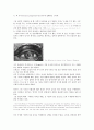 A+ 건축과 감각(The Eyes of the Skin) 요약 2페이지