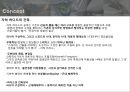 자하하디드 조사 3페이지