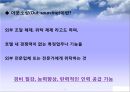 10장 호텔업 (호텔의 개념과 발전사, 호텔 기업의 특성 & 호텔의 분류 & 호텔의 조직).pptx 44페이지