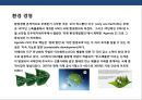 기업의 사회적 책임 경영 ppt 16페이지