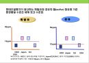 현대오일뱅크의 윤리 및 사회책임경영전략 성공사례 분석 18페이지