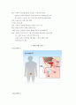 인체 구조와 기능: 인체 구조와 기능의 이해 11페이지