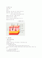 인체 구조와 기능: 인체 구조와 기능의 이해 19페이지