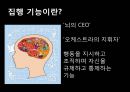 집행기능 2페이지