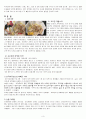 마케팅성공사례및 실패사례 분석 꼬꼬면 농심 회사 성공,실패 사례 요약정리 3페이지