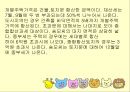 절세방안 ppt  36페이지