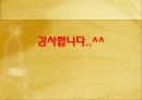 외국과의 세금 비교(소득세) ppt  29페이지
