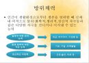 건강의 의미 13페이지