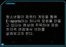 E-sports-컴퓨터 게임,이스포츠 게임,스포츠마케팅사례,문화주의란 4페이지