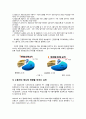 TV 시청자의 PPL에 대한 태도 분석-간접광고(PPL)이란,PPL의 효과,성공적인 PPL 사례,부정적인 PPL 사례 4페이지