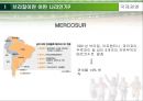 국제경영-브라질현지법인의 경영성과측정,브라질의 기업환경,현지법인의 기업성과 측정 5페이지