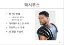 사료로서의 글레디에이터-검투사, 콜로세움, 튜닉, 파에눌라,막시무스, 코모두스, 그라쿠스, Life or Death 14페이지