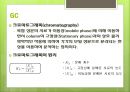 바이오 디젤의 정의,바이오 디젤 장점 단점,촉매의 종류-염기촉매,산 촉매 ppt 12페이지