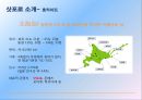 삿포로 눈축제 (さっぽろ雪まつり) - 홋카이도 삿포로, 삿포로 눈축제 역사와 발전 과정 및 주요 프로그램, 삿포로 눈축제의 효과와 문제점과 개선방안.pptx 4페이지