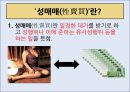 성매매특별법-유사성매매,성매매와 성범죄의 관계,성매매 합법국가의 사례 (네덜란드),성매매 금지국가의 사례 (스웨덴) 2페이지