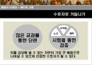 좋음의 이데아 (예비적 고찰, 태양의 비유, 선분의 비유, 동굴의 비유).pptx 3페이지