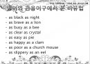 말하기의 법칙-비유법,수사법,직유법,은유법,풍유법,대유법,활유법,의인법,의성법,의태법,중의법 15페이지