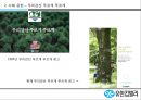 유한킴벌리- 사회공헌,유한킴벌리 조직도,유한킴벌리 지속경영,브랜드마케팅,서비스마케팅,글로벌경영,사례분석,swot,stp,4p 10페이지