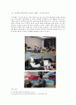 예능 트렌드 - TV 예능 속 일반인 참여 증가, 힐링 예능, 가족 예능, 리얼 다큐 버라이어티, 케이블TV 예능의 급부상을 중심으로 10페이지