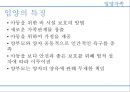 입양가족의 현황과 인식 4페이지