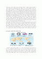 삼성의 경영전략 5페이지