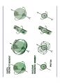방사선사 MRI 국가고시 2차 정리집 10페이지