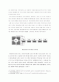 지하철 환경조형물의 개념 및 특성 (지하철 환경조형물 개념, 분류, 발생, 인터페이스, 기능, 계획요소, 인지과정 , 사례 & 지하철 정거장 및 환승시설) 21페이지