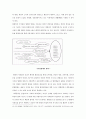 지하철 환경조형물의 개념 및 특성 (지하철 환경조형물 개념, 분류, 발생, 인터페이스, 기능, 계획요소, 인지과정 , 사례 & 지하철 정거장 및 환승시설) 25페이지