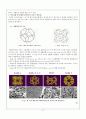 [무기분석실험] 07.제올라이트(zeolite) A의 합성 및 분석 (예비) : 제올라이트A를 합성하고 분석기기를 이용하여 구조를 분석한다 2페이지