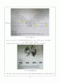 [무기분석실험] 08.제올라이트 A(Zeolite A)를 이용한 이온교환 (예비) : 제올라이트A를 이용해 이온교환을 실시하고 이온교환율을 계산한다 3페이지