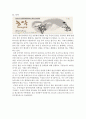 한국의 유네스코 unesco 등재유산 (세계유산,문화유산,기록유산) 19페이지
