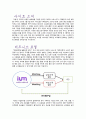 소개팅사이트 이음의 비즈니스모델과 수익모델 분석  - 『이음(ium)』 2페이지