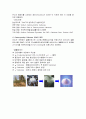 CMC Sodium Carboxymethyl Cellulose 9페이지