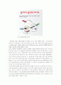 소셜커머스 통한 비인기스포츠 활성화위한 스포트마케팅 조사연구 보고서 14페이지