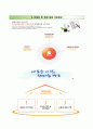 (쌍용건설 자기소개서 + 면접족보) 쌍용건설 (대졸신입) 자소서 {쌍용건설합격자기소개서쌍용건설자소서항목} 레포트 우수예문 5페이지