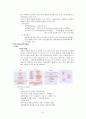 미생물의 세계 - 미생물의 종류와 종류별 특성 6페이지