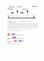 일반물리학 실험 - 선운동량 보존법칙(결과) 7페이지