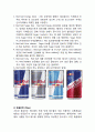 레드불 REDBULL 제품분석과 마케팅 STP,4P 전략분석 및 레드불 마케팅전략 문제점연구와 문제극복위한 새로운 마케팅전략제안 레포트 9페이지