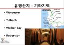 대표 와이너리, 프리미엄급 와인, 유명산지 소개.pptx 3페이지