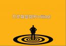 프로파일링(Profiling) (프로파일러, 프로파일링의 목적과 과정 및 발전(역사), 전제 조건, 고려할 점, 적용 범위, 논리 전개 방식, 최근 동향과 효용성, 실제 사례).ppt 1페이지