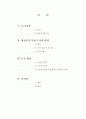행정중심복합도시 건설의 부정적 측면  2페이지